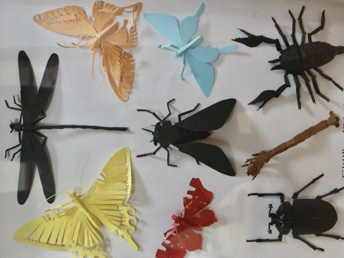 高校1年生が切り紙で作った昆虫がリアルすぎて博物館で展示へ Radichubu ラジチューブ