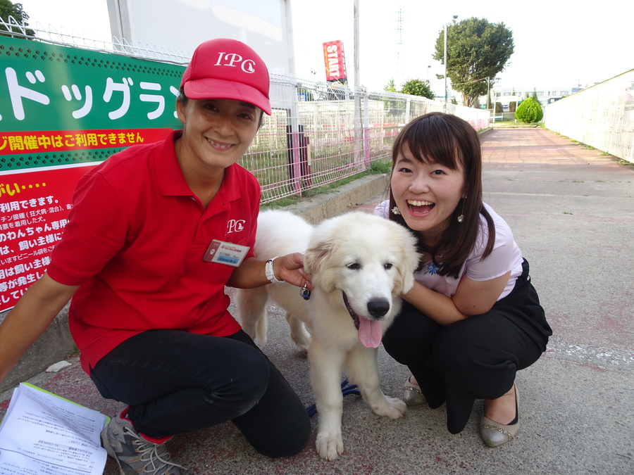 夏のipcわんわん動物園 Radichubu ラジチューブ