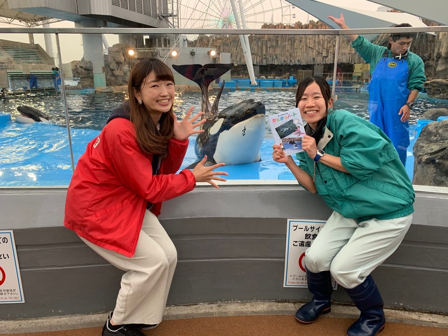 シャチが好きすぎる 名古屋港水族館の飼育員さん Radichubu ラジチューブ