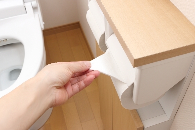 トイレットペーパーの三角折り 利用者がしない方がよい理由 Radichubu ラジチューブ