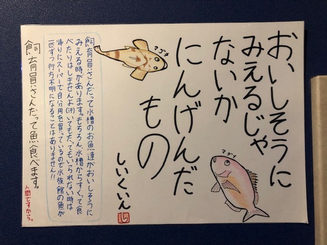 しょぼくて貧乏 愛知県蒲郡市の竹島水族館 なぜ大人気 Radichubu ラジチューブ