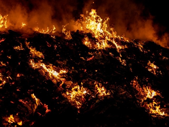 山 原因 オーストラリア 火事 山火事の原因とは？オーストラリアで長引く森林火災について