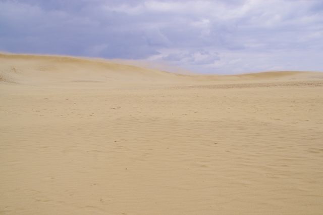 実は重要な資源 世界中から 砂 がなくなっている Radichubu ラジチューブ