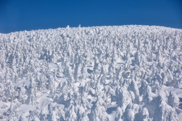 大自然の圧倒的な神秘 山形蔵王の樹氷 スノーモンスター Radichubu ラジチューブ
