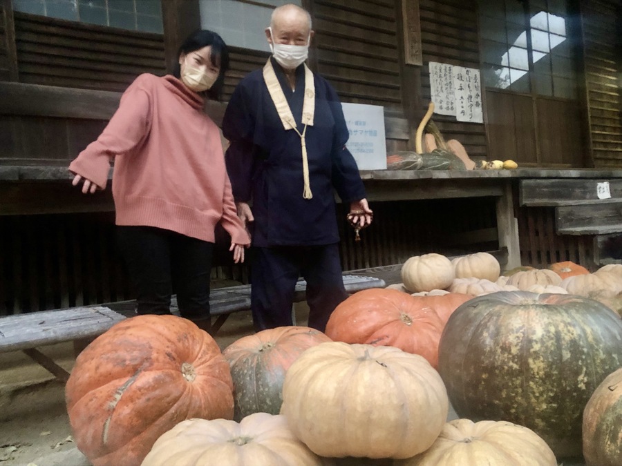 個性豊かなかぼちゃ大集合 かぼちゃサミット Radichubu ラジチューブ