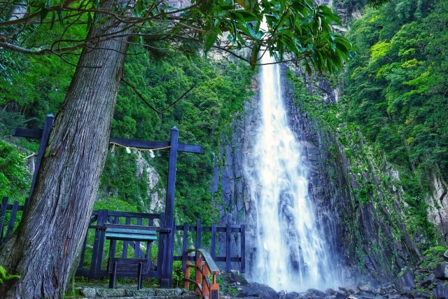 毎秒1トンの水が流下 熊野那智大社のご神体 那智の滝 Radichubu ラジチューブ
