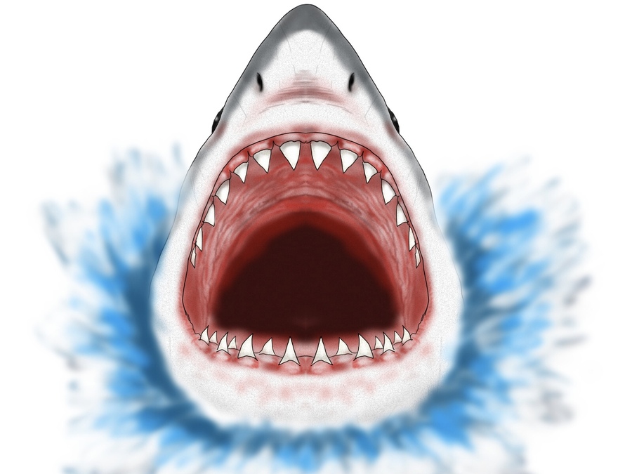 格安最新作サメの歯の口ステッカー 2枚 防水 DIY 面白いサメの歯口ステッカー デカール アクセサリー