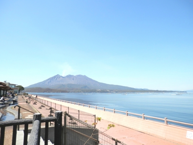 イルカに会える道の駅？鹿児島県垂水市「道の駅 たるみず」