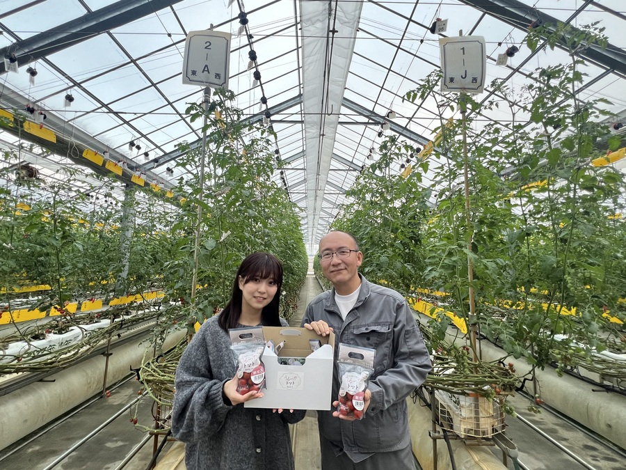 カーエアコンの技術をミニトマト栽培に！？ 次世代型農場でんでん村の