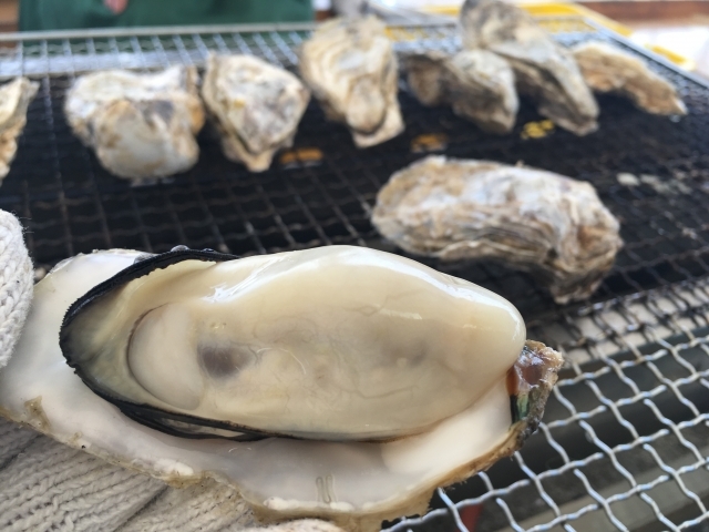 何を持ち込む？牡蠣小屋で牡蠣をたくさん食べるためには