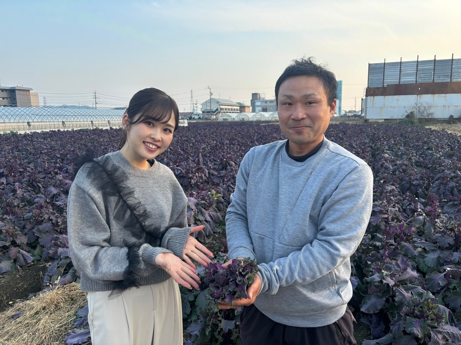 ✨🥦日本国内で、まだ1人しか育てていない新しい野菜 ✨🥦日本国内で、まだ1人しか育てていない新しい野菜