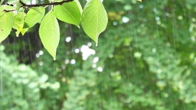準備はOK?梅雨の時期を快適に過ごすコツ