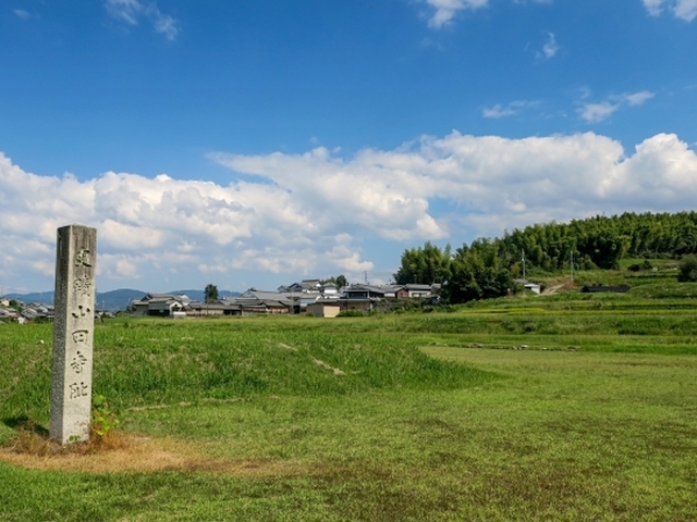 複雑な運命を辿った「白鳳の貴公子」。興福寺・銅造仏頭