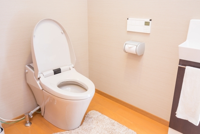 トイレで健康診断!便を分析するトイレ発売