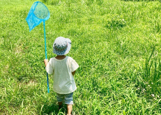 今ではなかなか見かけない「こどもの夏休みの風景」とは?