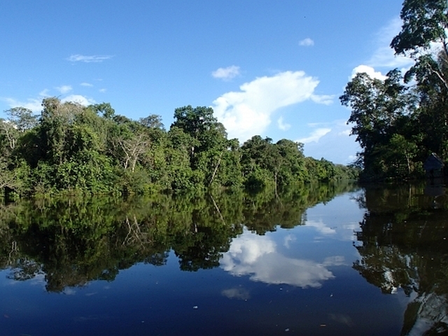 森林伐採でアマゾンに地表が露出。自然が開発されていく現状