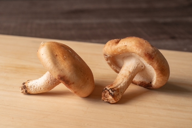 旬の食材で簡単あったかご飯！鶏肉としいたけのホイル焼き