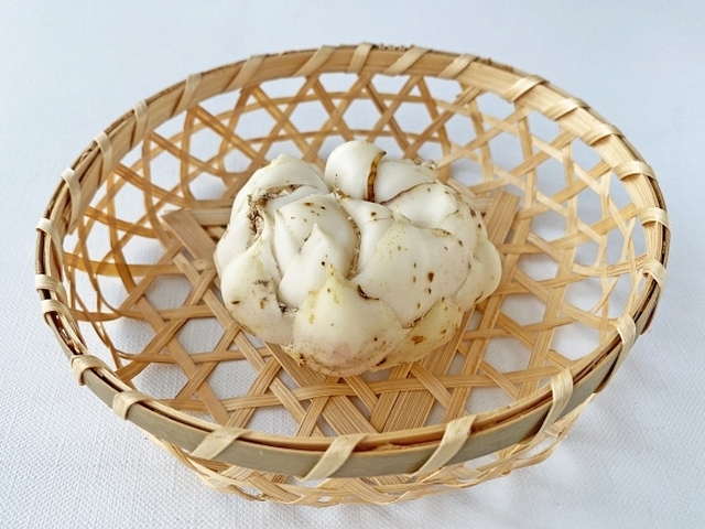 縁起物の食材「ユリネ」食べるとイメージが変わるほど美味しい調理法とは？