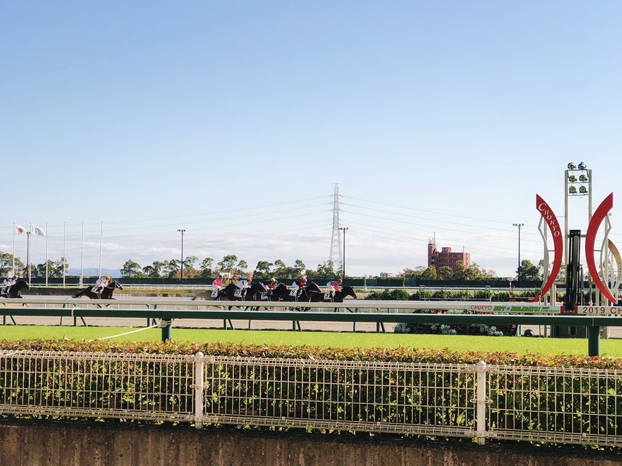 ギャンブルだけじゃない！もはやレジャー施設・競馬場