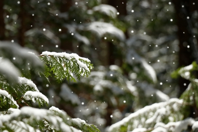 山下達郎、GLAY、L'Arc～en～Ciel、それぞれが歌う「冬」は別物