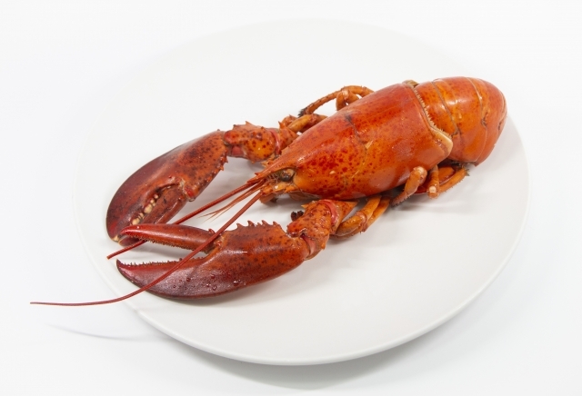 イギリスでロブスターなどを生きたまま茹でることが禁止に