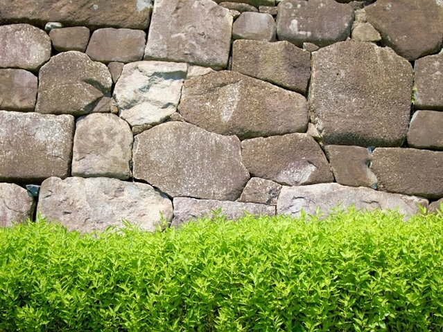 織田信長と徳川家康が結んだ「清州同盟」。その経緯とは？