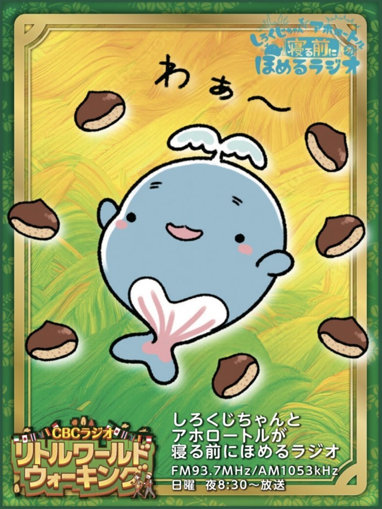 つボイノリオの聞けば聞くほど本 東海地区希少本 つボイノリオの聞けば聞くほど本 東海地区希少本 - メルカリ
