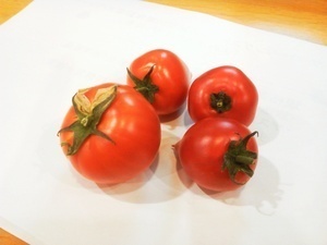 tomato4.JPG